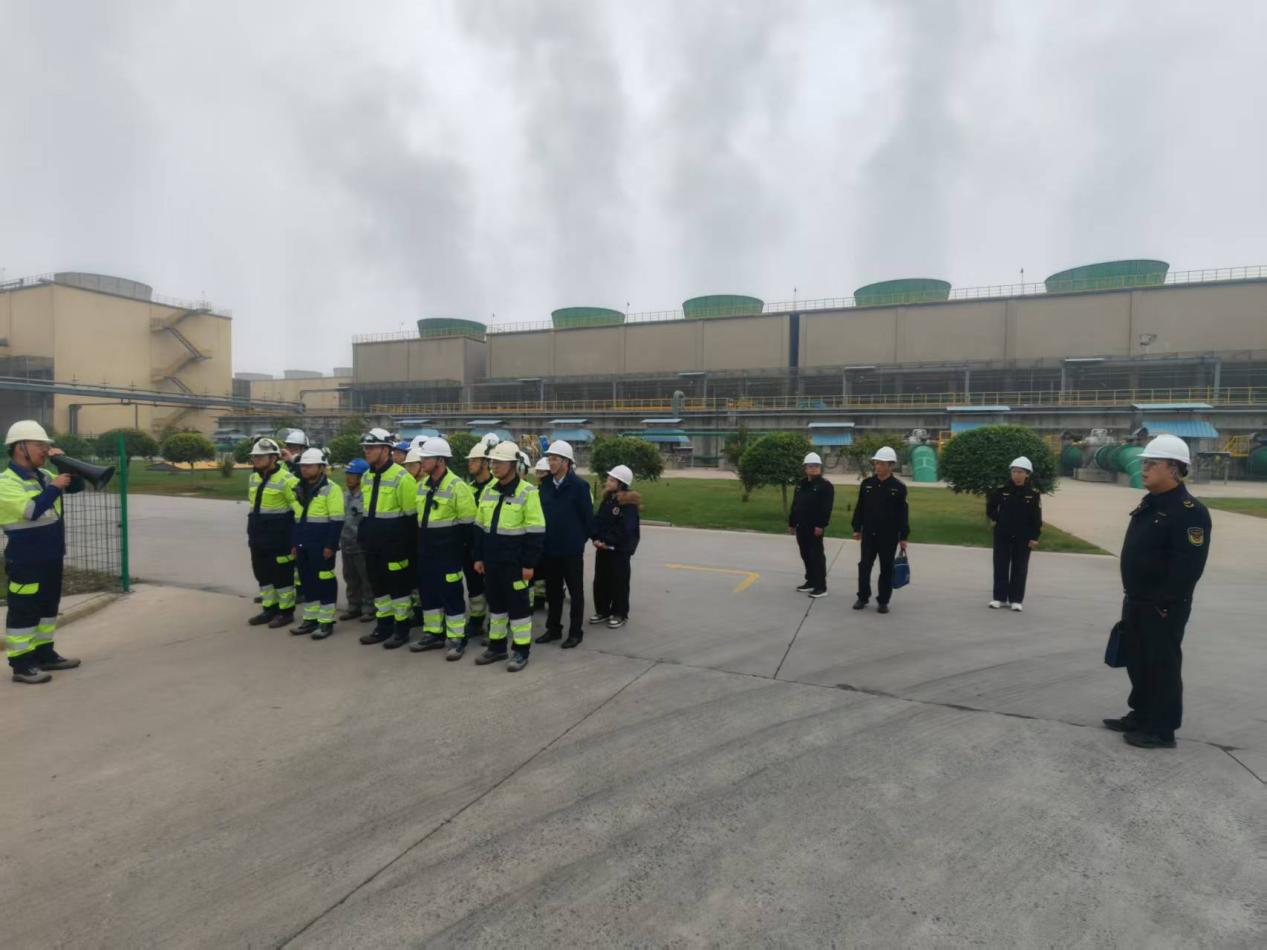 1762134134643019154.jpg 1762134134643019154.jpg